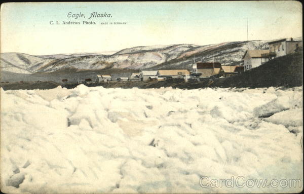 Eagle Alaska C. L. Andrews