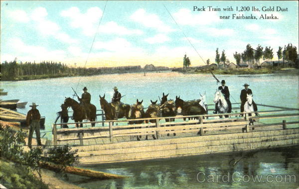 Pack Train With 1200 Lbs Fairbanks Alaska