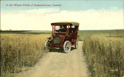 In The Wheat Fields Saskatchewan, SK Canada Postcard Postcard
