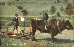 A Southern Tally Postcard