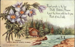 Pasque South Dakota State Flower Pasque South Dakota State Flower