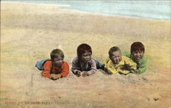 Puget Sound Sand Fleas Washington Postcard Postcard