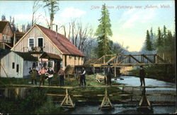 State Salmon Hatchery Auburn, WA Postcard Postcard