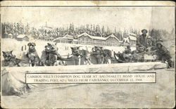 Caribou Bill's Champion Dog Team Postcard