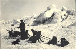 Traveling Over Ice Fields Postcard