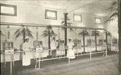 The Baby Incubator Postcard