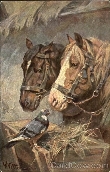 Horses W. Velten