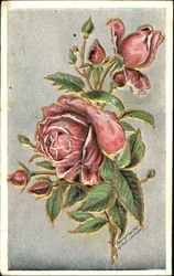 Roses Fred C. Lounsbury Postcard Postcard