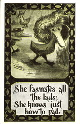 Ducks Postcard