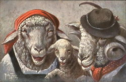 Sheep Family Postcard