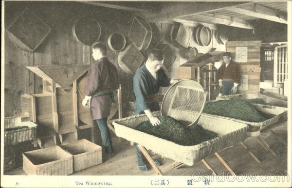 Tea Winnowing Japan