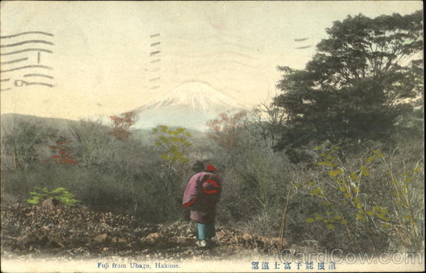 Fuji From Ubago Hakone Japan
