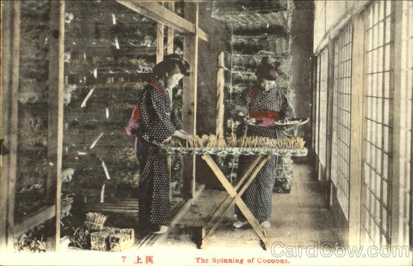 The Spinning Of Cocoons Japan