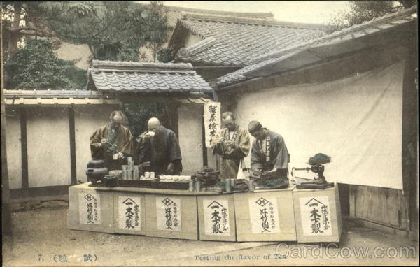 Testing The Flavor Of Tea Japan