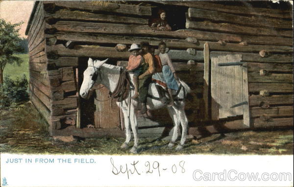 Just In From The Field Black Americana