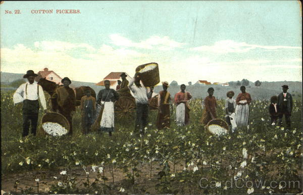 Cotton Pickers Black Americana