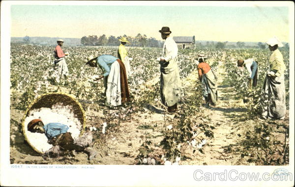 In The Land Of King Cotton Picking Black Americana