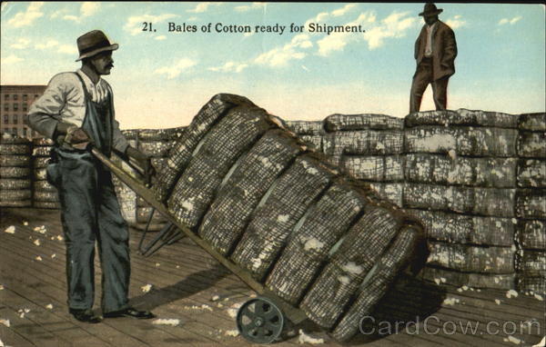 Bales Of Cotton Ready For Shipment Black Americana
