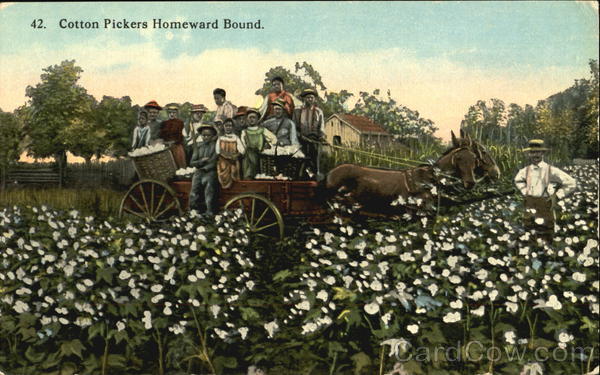 Cotton Pickers Homeward Bound Black Americana