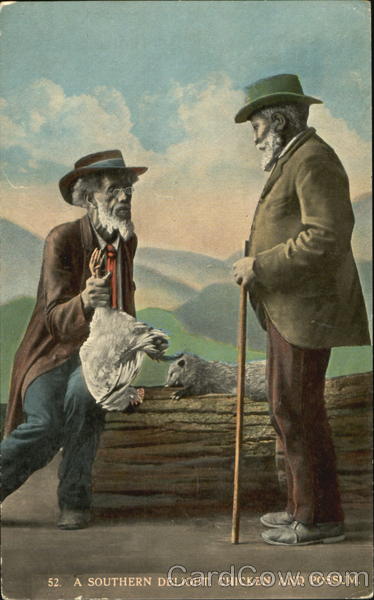 A Southern Delight Chicken And Possum Black Americana