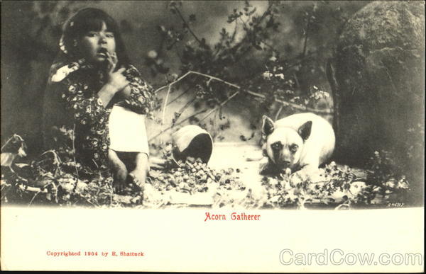 Acorn Gatherer Native Americana