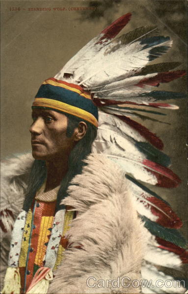 Standing Wolf Native Americana