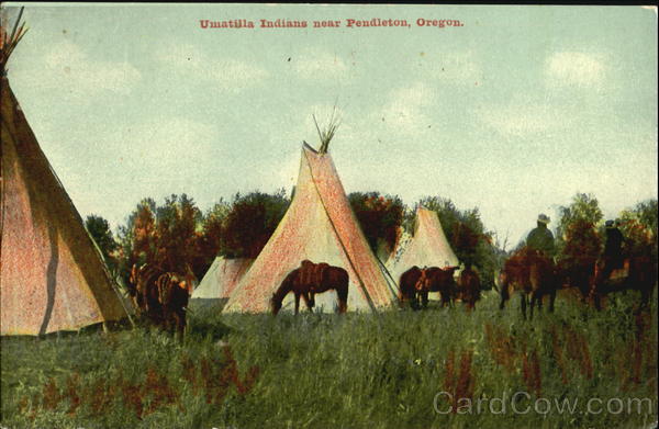 Umatilla Indians Pendleton Oregon Native Americana