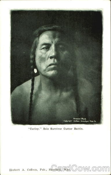 Curley Sole Survivor Custer Battle Native Americana
