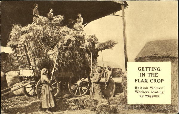 Getting In The Flax Crop Social History