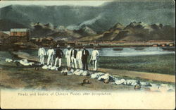 Heads And Bodies Of Chinese Pirates After Decaprtation Asian Postcard Postcard