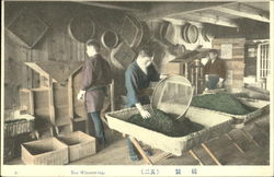 Tea Winnowing Postcard