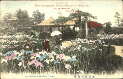 Iris Garben At Horikiri Postcard