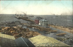 Whole View Of Pier Postcard