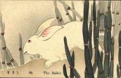 The Babbit Postcard
