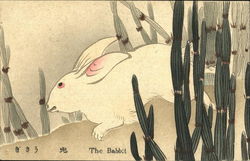 The Babbit Japan Postcard Postcard