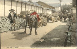 Paecked Ard Despatched For Sale Postcard