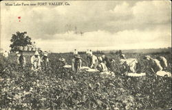 Moss Lake Farm Postcard