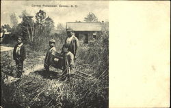 Conway Pickaninies South Carolina Black Americana Postcard Postcard