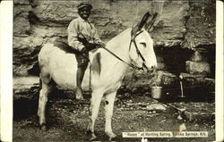 Happy At Harding Spring Postcard