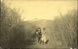 Stock #148986 Thumbnail