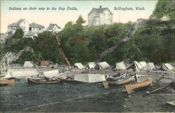 Indians On Their Way To The Hop Fields Postcard