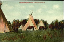 Umatilla Indians Pendleton, OR Native Americana Postcard Postcard