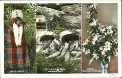 Natives Of Idaho Mountain Trout Postcard