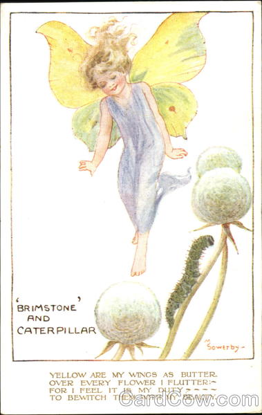 Brimstone And Caterpillar Millicent Sowerby Girls