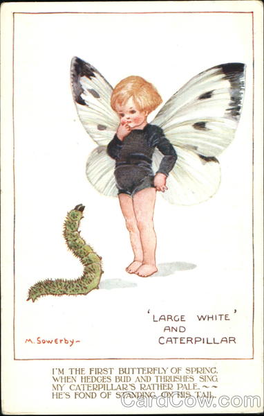 Large White And Caterpillar Millicent Sowerby Fantasy