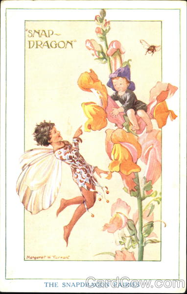 Snap Dragon Fairies Margaret Tempest Fantasy