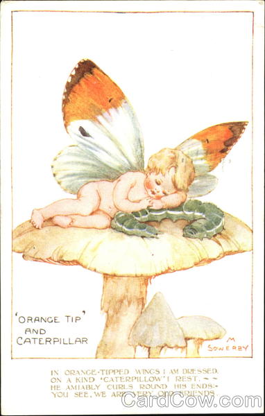 Pretty Wings Millicent Sowerby Fantasy