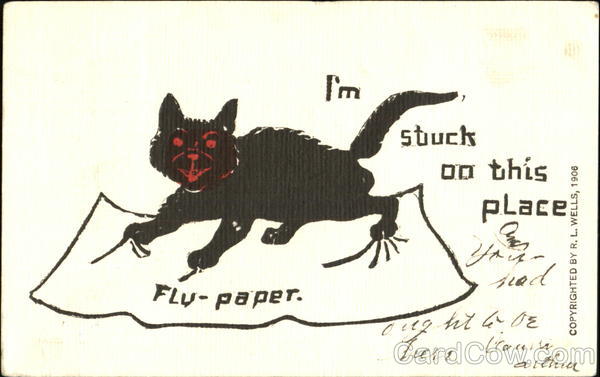 I'm Stuck On This Place Cats