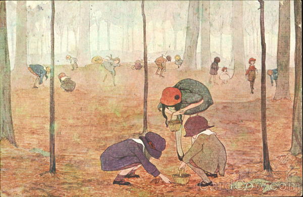 Beukenootjes Children