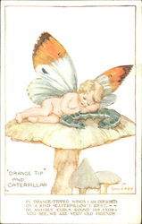 Pretty Wings Postcard